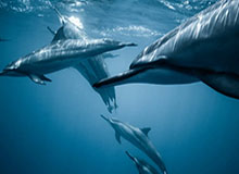 九游体育在线网站：把每一次比赛，变成一场有温度的观赛之旅